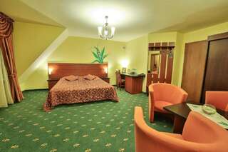 Отель Hotel Wiosna Рабка Улучшенный двухместный номер с 1 кроватью-3