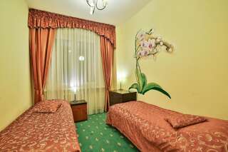 Отель Hotel Wiosna Рабка Двухместный номер с 1 кроватью или 2 отдельными кроватями и балконом-6