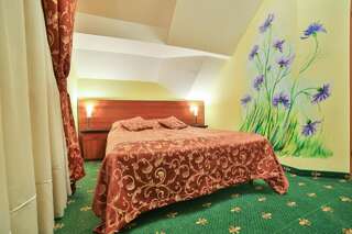Отель Hotel Wiosna Рабка Номер Делюкс с кроватью размера «queen-size»-2
